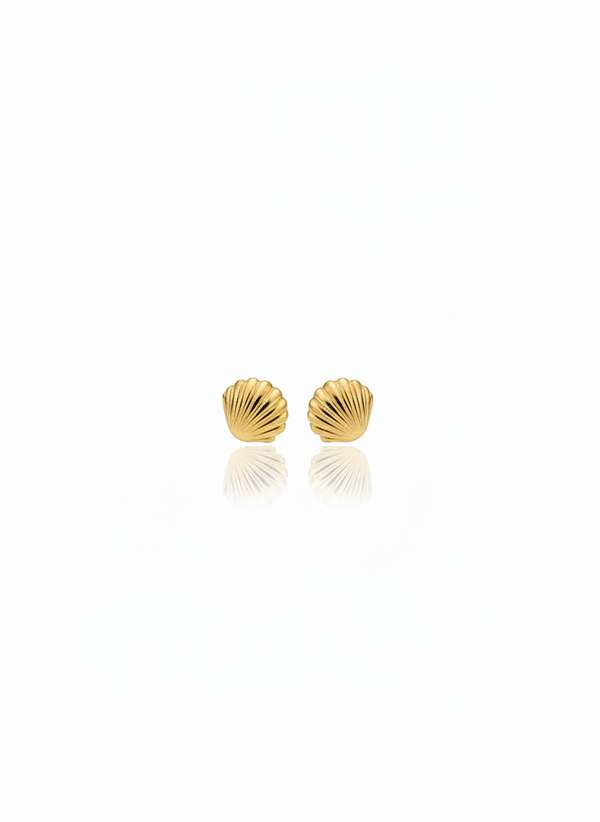 Drops of Ocean Shell Gold Necklace with Earrings