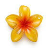 Ombre Lily Mini Clips