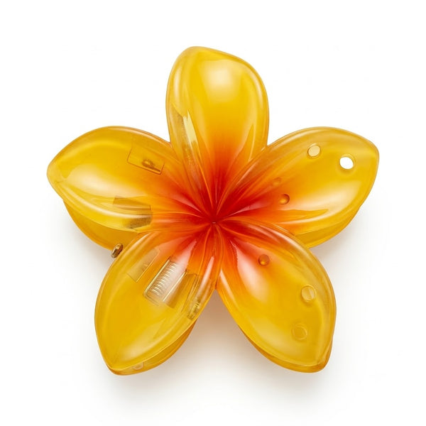 Ombre Lily Mini Clips