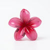 Ombre Lily Mini Clips