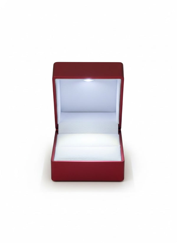 Ring light box