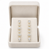 Sparkle Show Earring