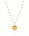 Elegant Shell Design Necklace