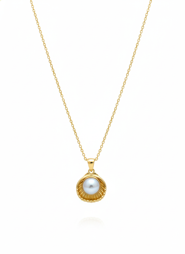 Elegant Shell Design Necklace