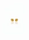 Drops of Ocean Shell Gold Necklace with Earrings