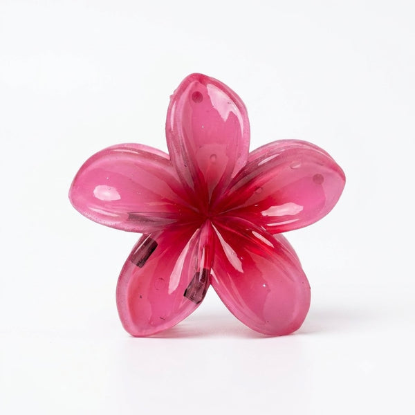 Ombre Lily Mini Clips