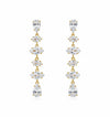 Sparkle Show Earring