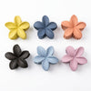 Matte Lily Claw Clip hair claw clip worn on model – styled for women
