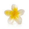 Pinteresty Floral Claw Clips hair claw clip shown with Fix My Hairs gift packaging